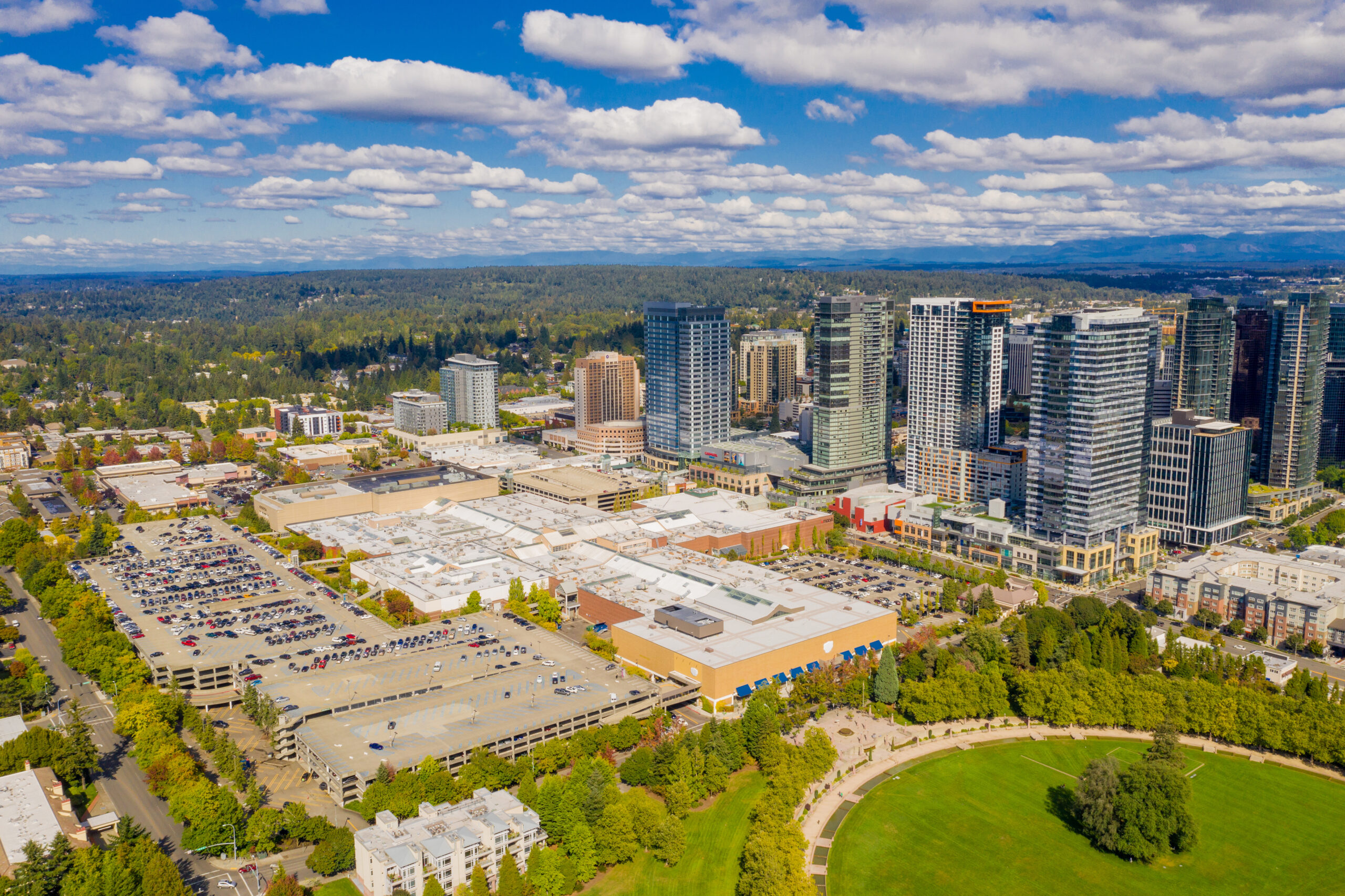 Living in Bellevue: Parks, Schools & Neighborhood Favorites
