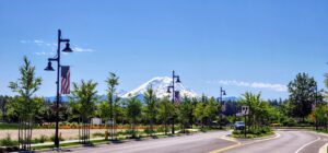 Village Towns