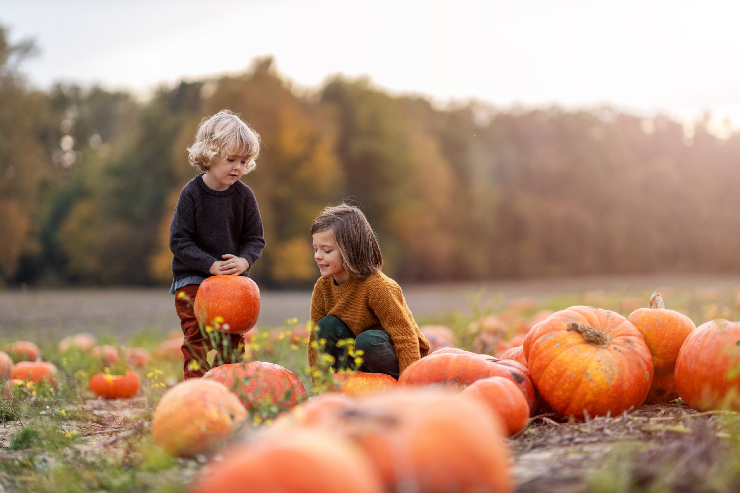 Fall Festivities and Pumpkin Patches in Snohomish